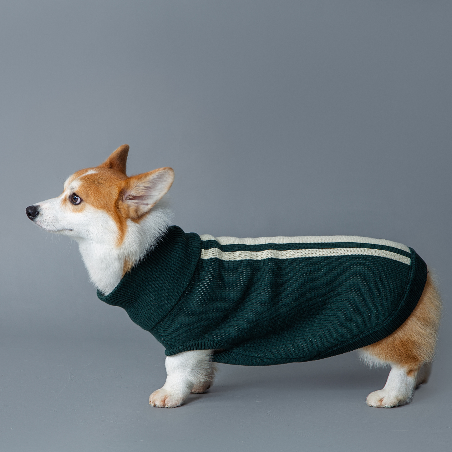 MARCY SWEATER