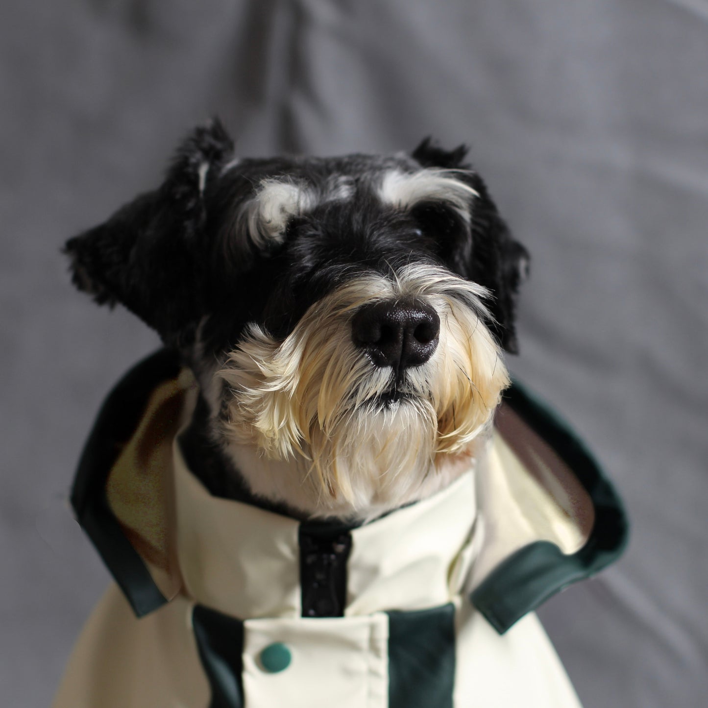 COOPER RAINCOAT