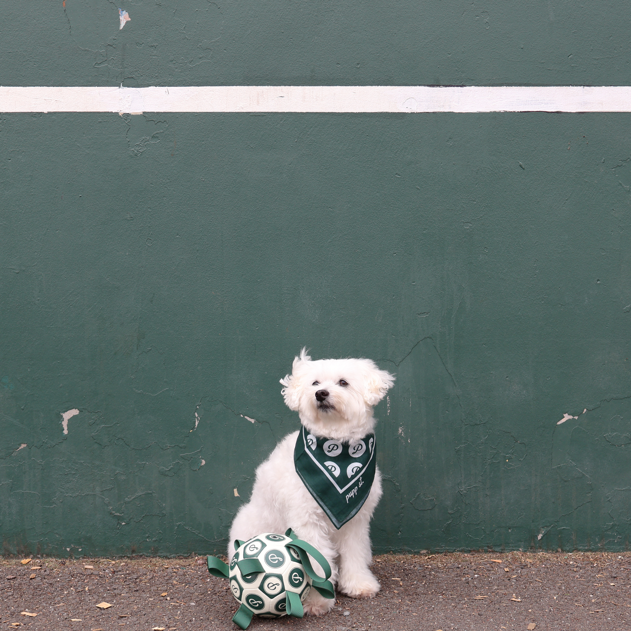 PUPPSTER SOCCER BALL