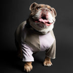 HESTER SHIRT