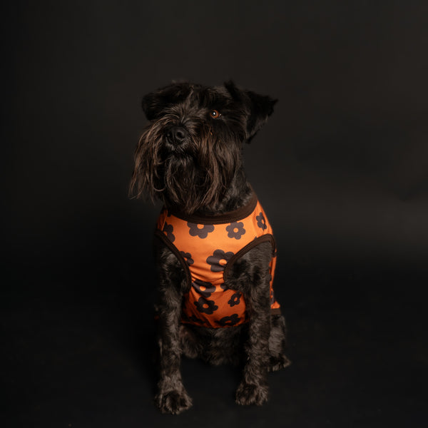ALLEN TANK – pupp st.