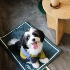 FOLDABLE TRAVEL DOG MAT