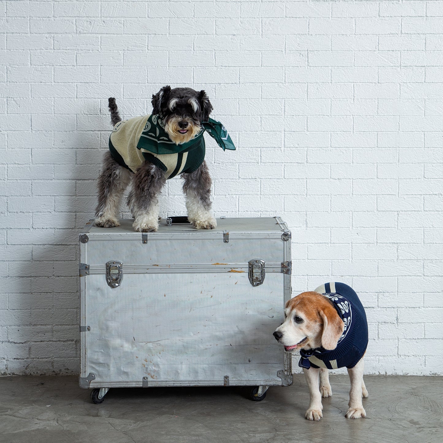 PUPPSTER BANDANA