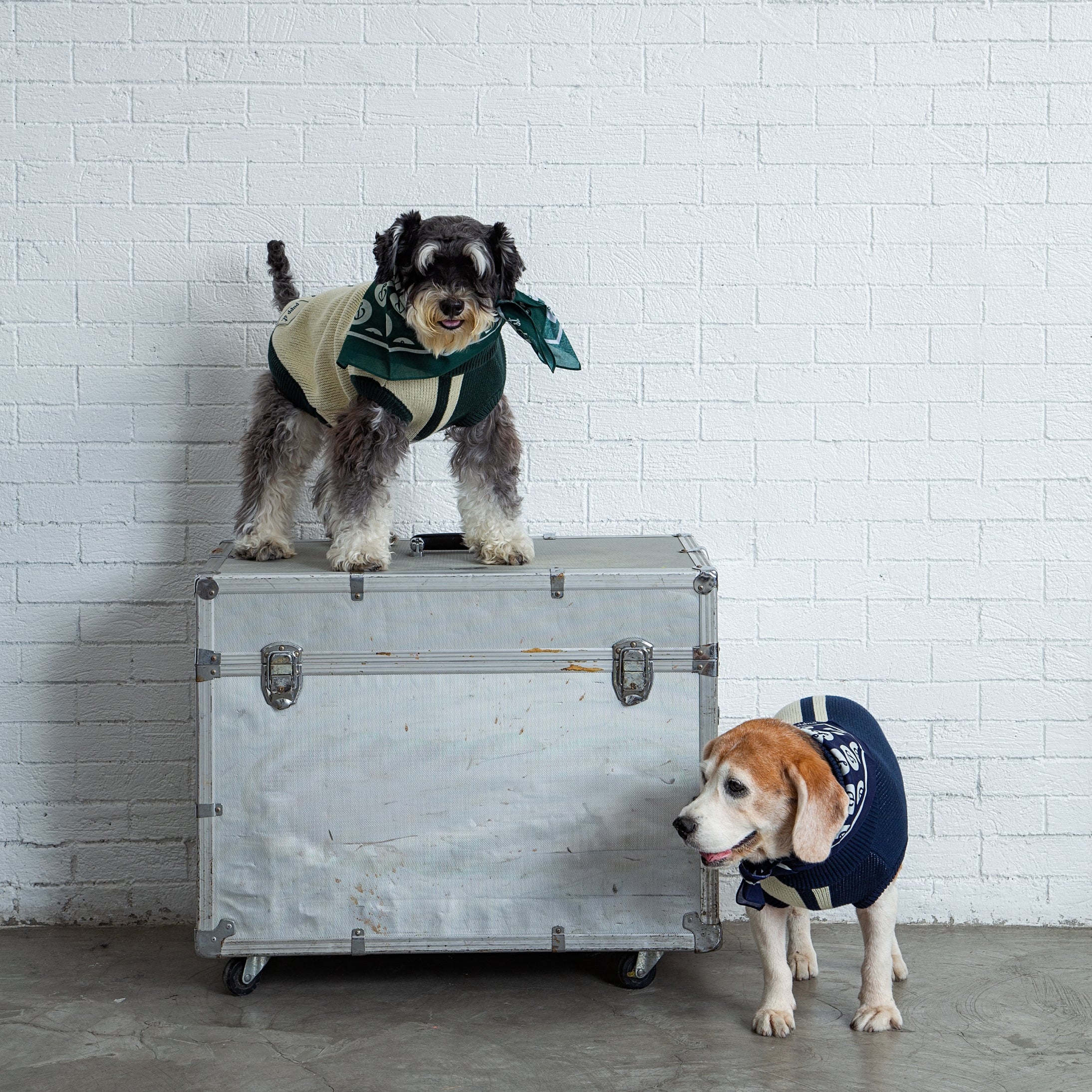PUPPSTER BANDANA