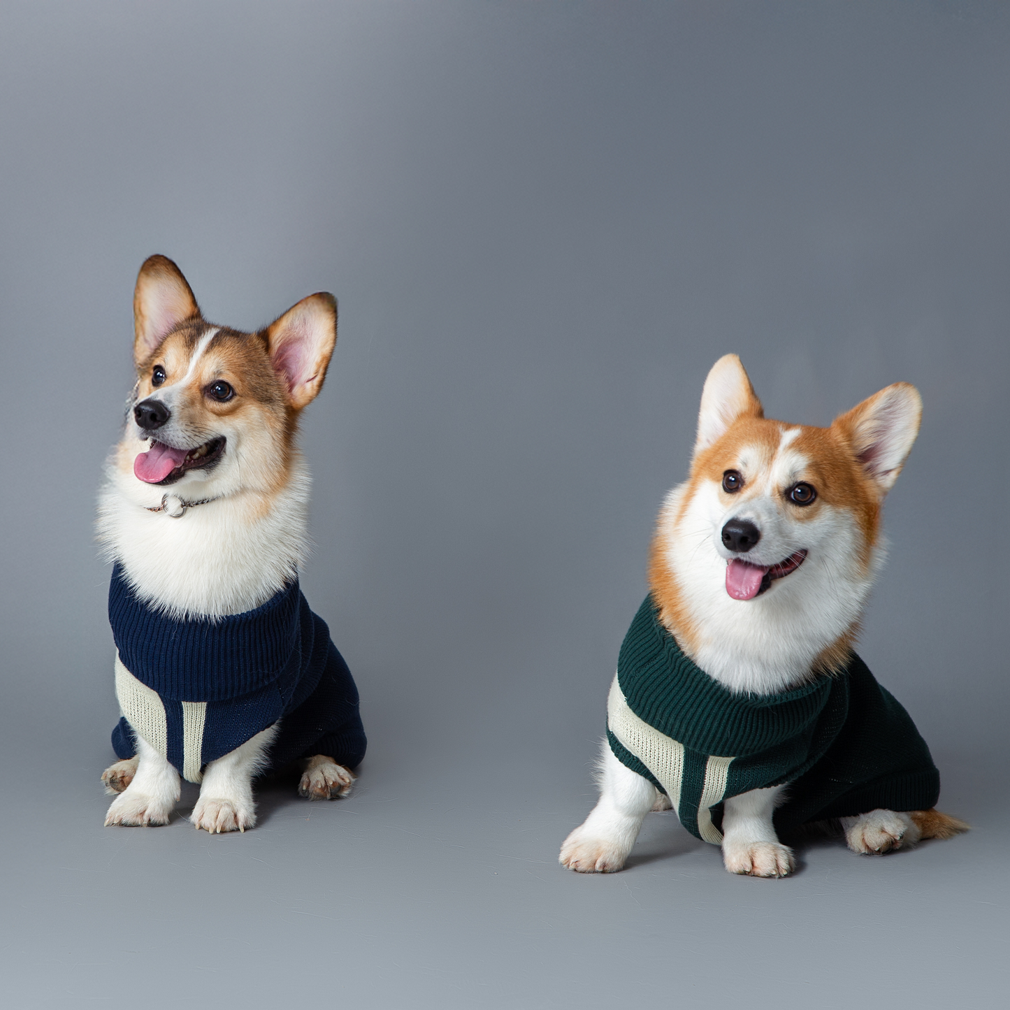 MARCY SWEATER