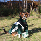 PUPPSTER SOCCER BALL