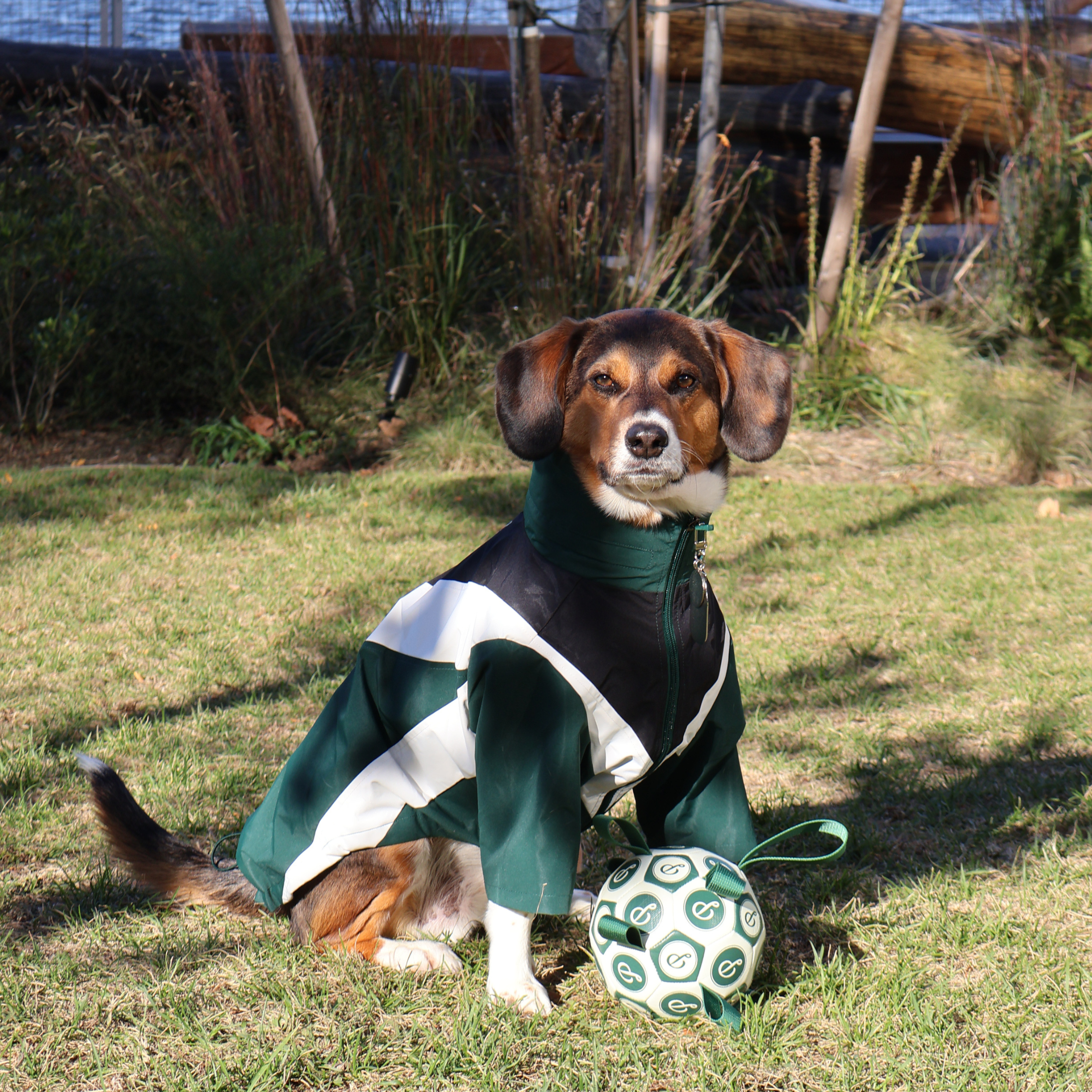 PUPPSTER SOCCER BALL