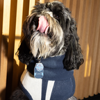 BLOCK PARTY KEYCHAIN