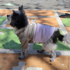 HESTER SHIRT