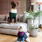 MADISON COLORBLOCK SWEATER