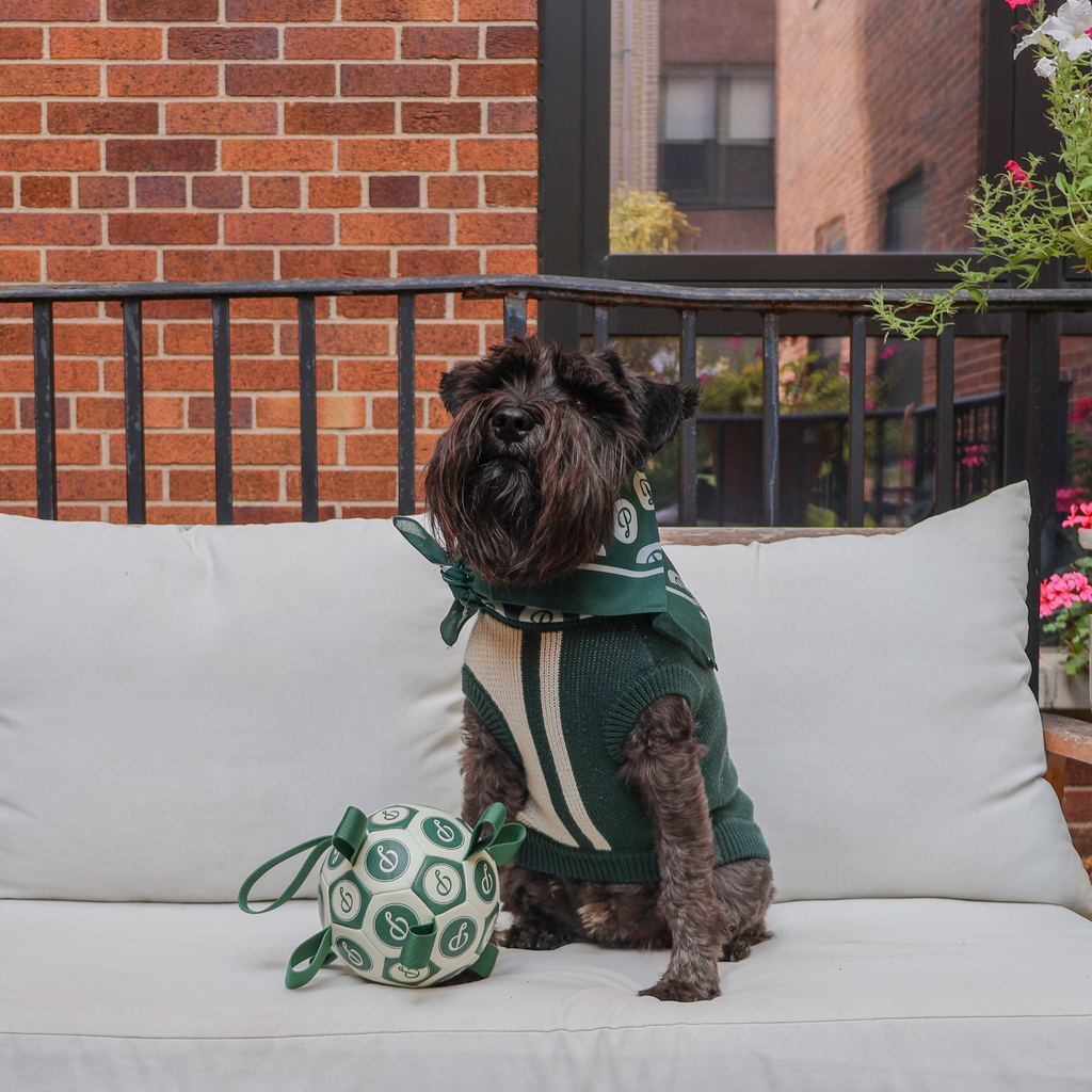 PUPPSTER SOCCER BALL