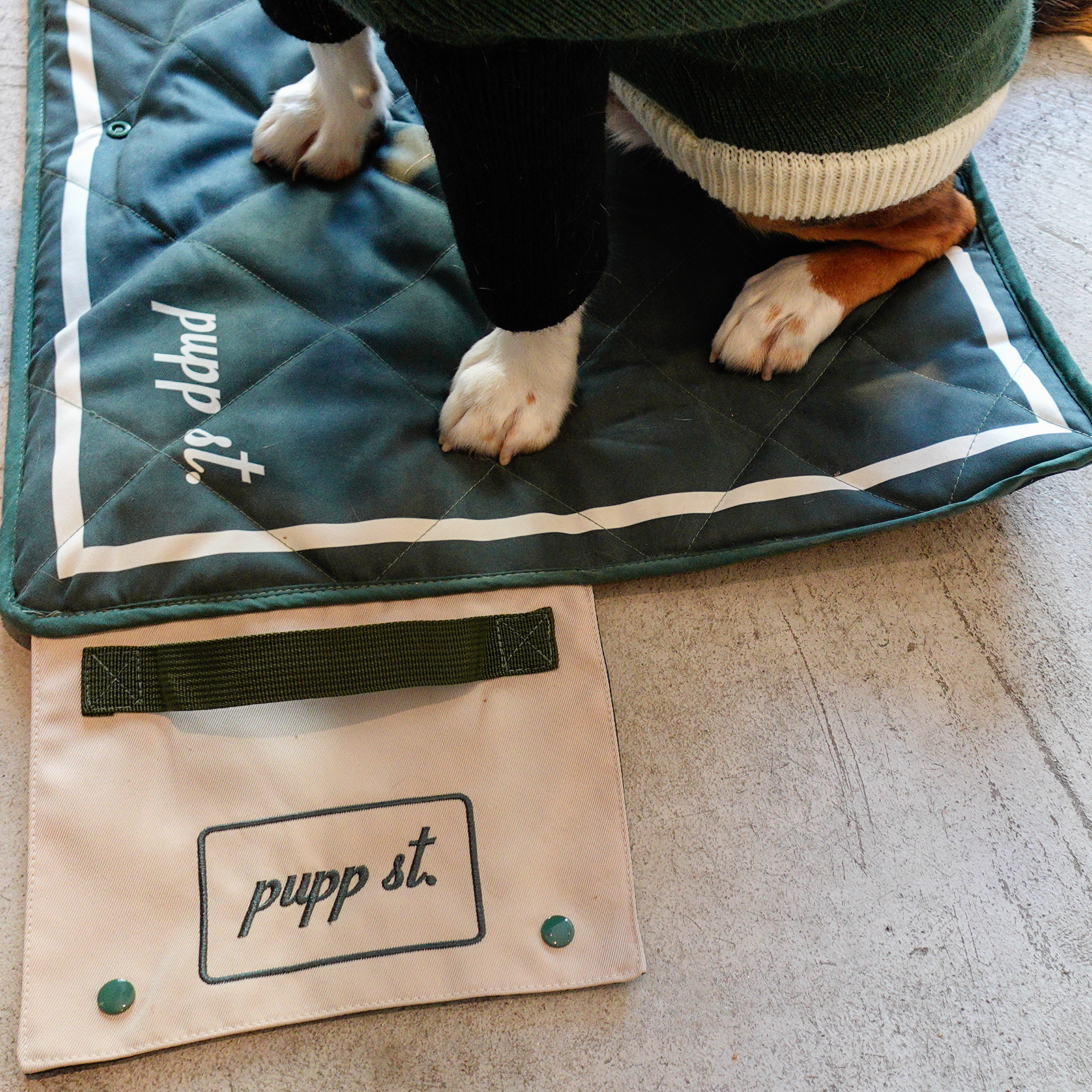 FOLDABLE TRAVEL DOG MAT