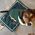 FOLDABLE TRAVEL DOG MAT