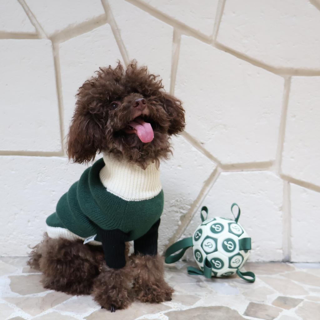 MADISON COLORBLOCK SWEATER