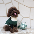 MADISON COLORBLOCK SWEATER