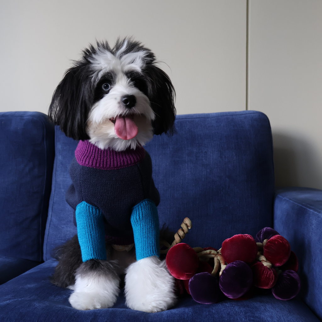 MADISON COLORBLOCK SWEATER