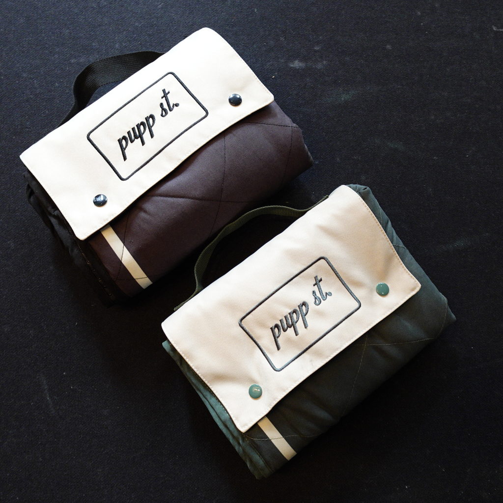 FOLDABLE TRAVEL DOG MAT