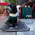 FOLDABLE TRAVEL DOG MAT