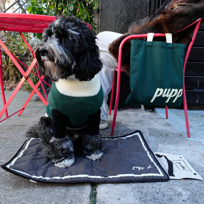 FOLDABLE TRAVEL DOG MAT