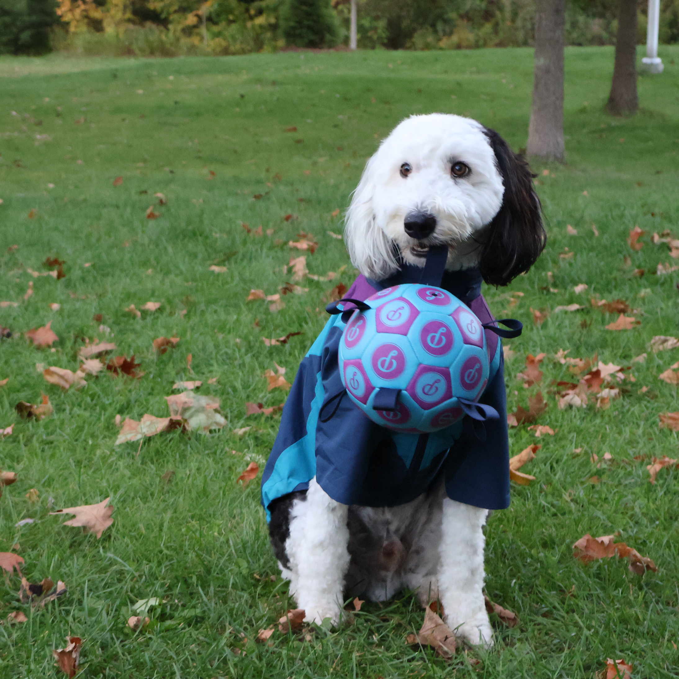 PUPPSTER SOCCER BALL