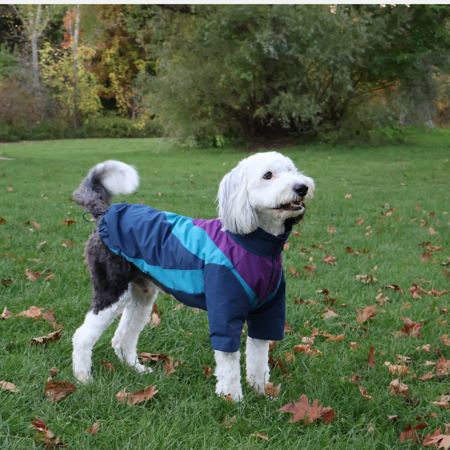 DOMINO WINDBREAKER